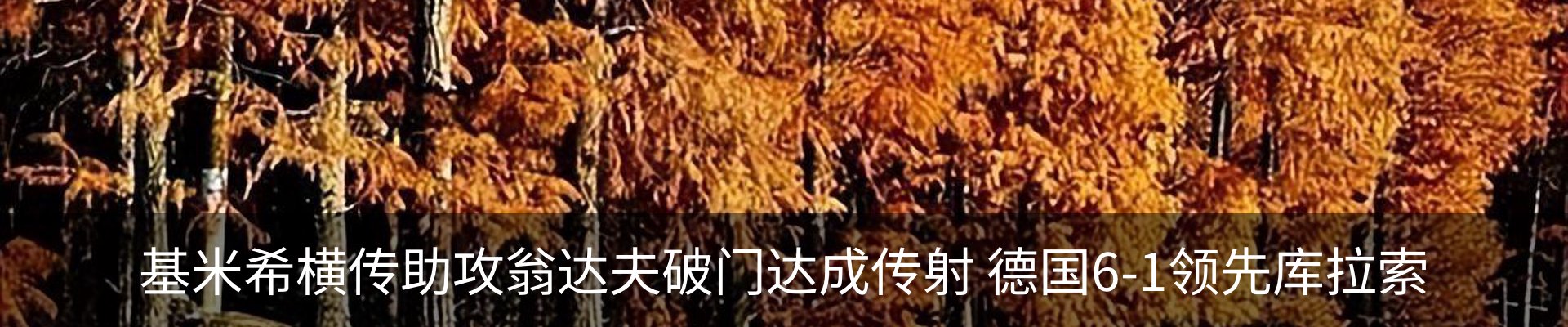 最新动态